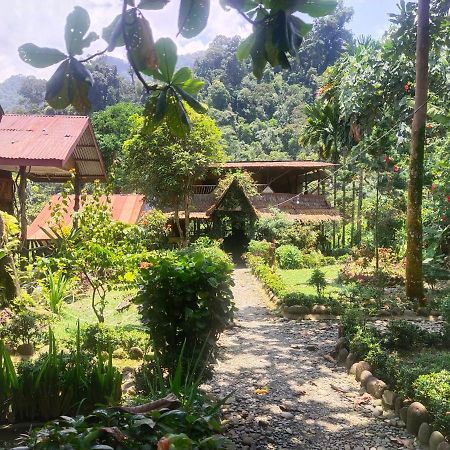 Mountain View Cottages & Villa Tangkahan Buitenkant foto