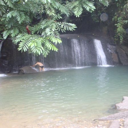 Mountain View Cottages & Villa Tangkahan Buitenkant foto