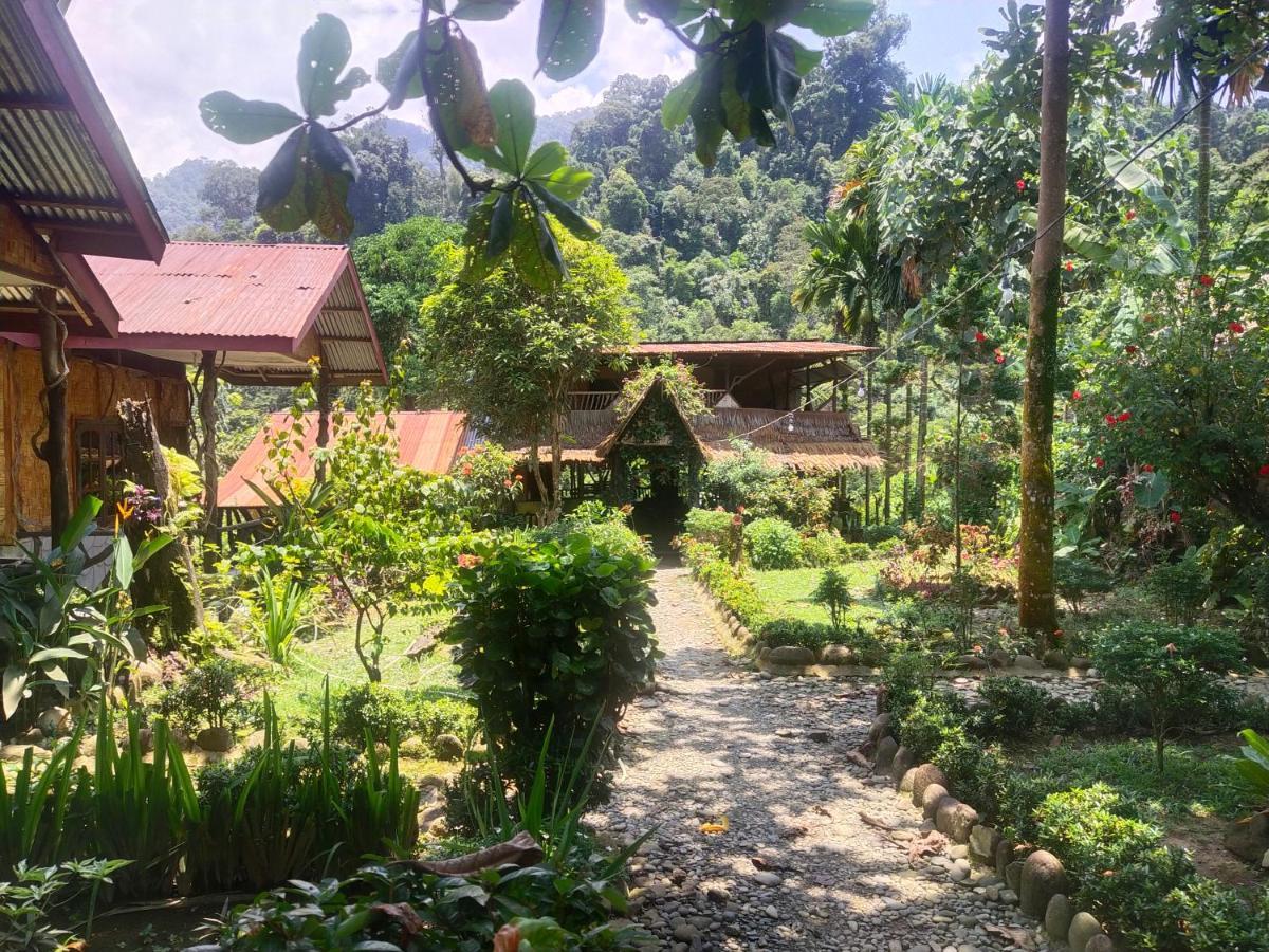 Mountain View Cottages & Villa Tangkahan Buitenkant foto