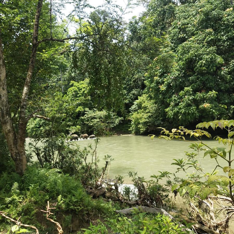 Mountain View Cottages & Villa Tangkahan Buitenkant foto