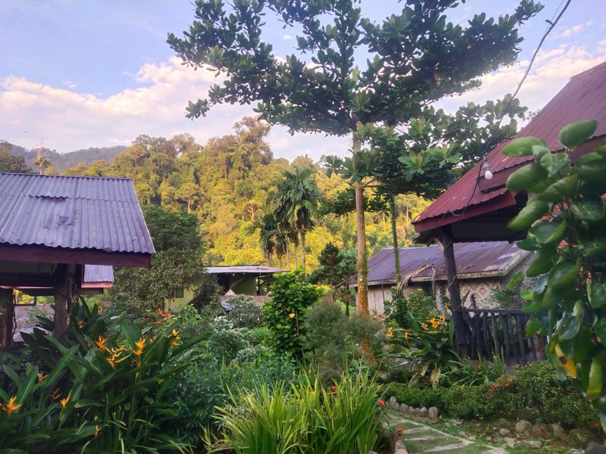 Mountain View Cottages & Villa Tangkahan Buitenkant foto