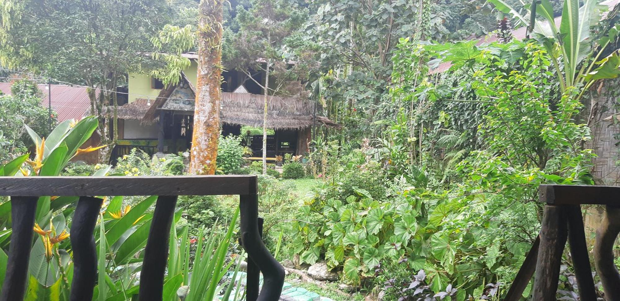 Mountain View Cottages & Villa Tangkahan Buitenkant foto