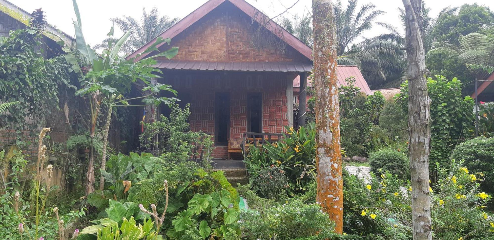 Mountain View Cottages & Villa Tangkahan Buitenkant foto