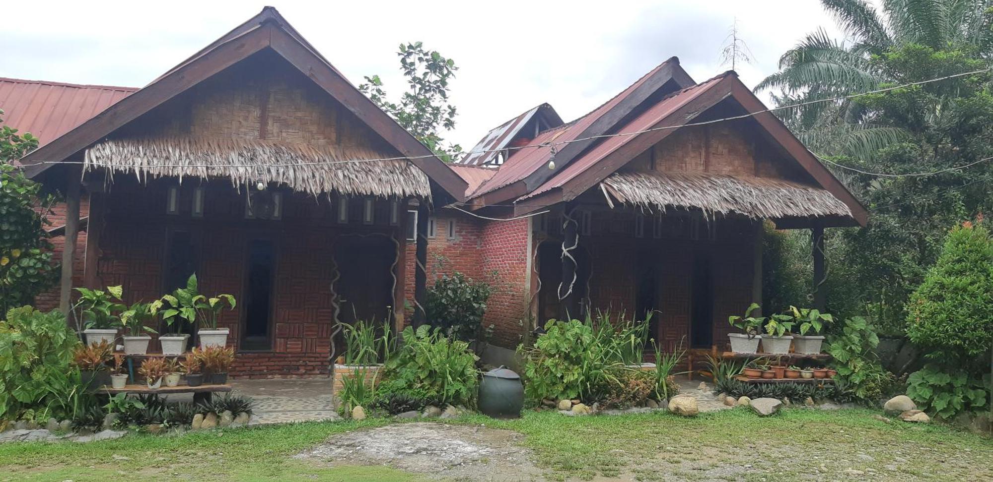 Mountain View Cottages & Villa Tangkahan Buitenkant foto